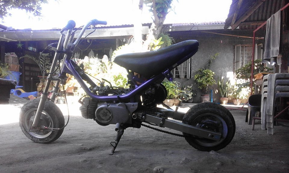 Photo 2799302