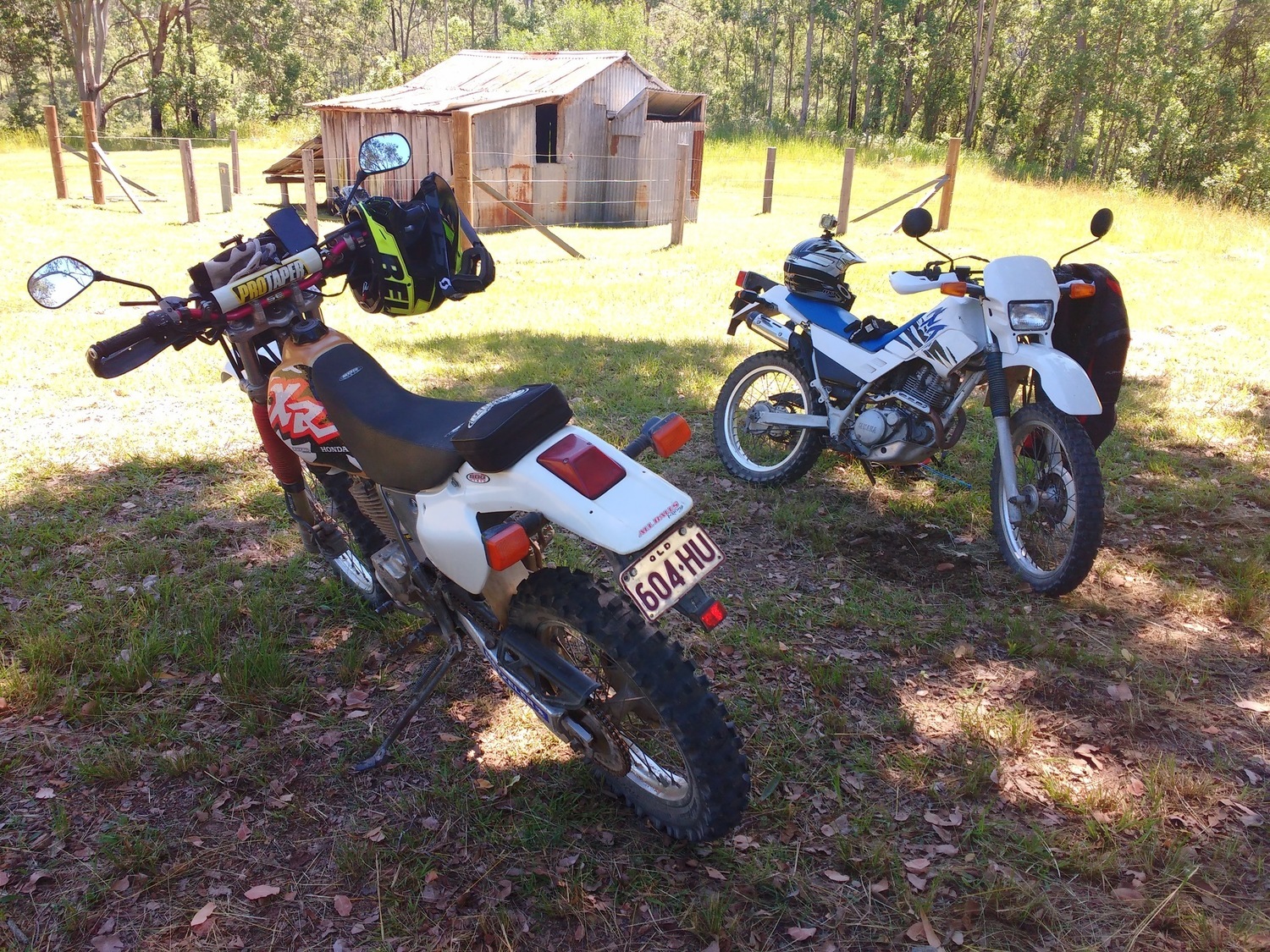 Photo 2799621