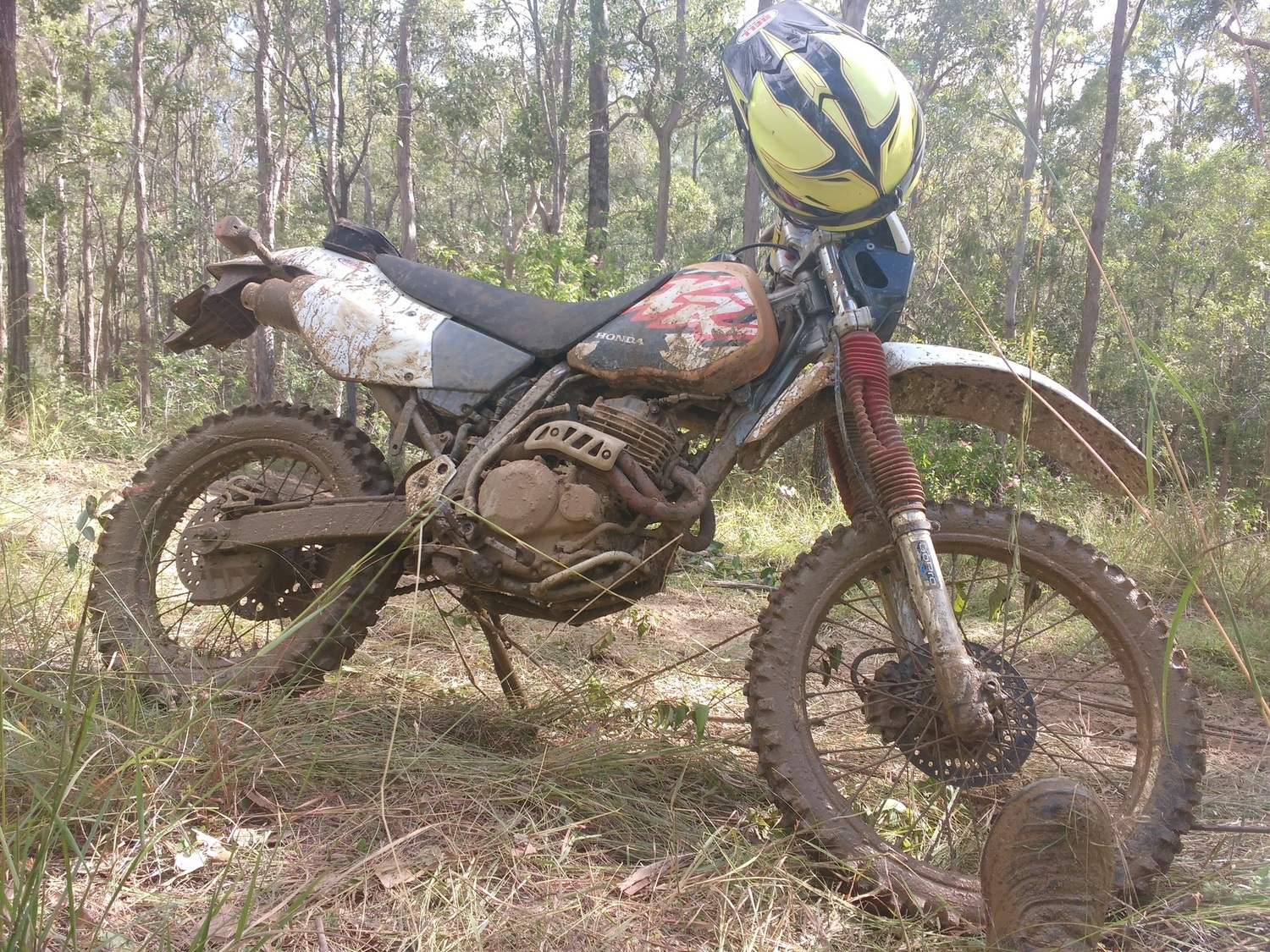 Photo 2799702