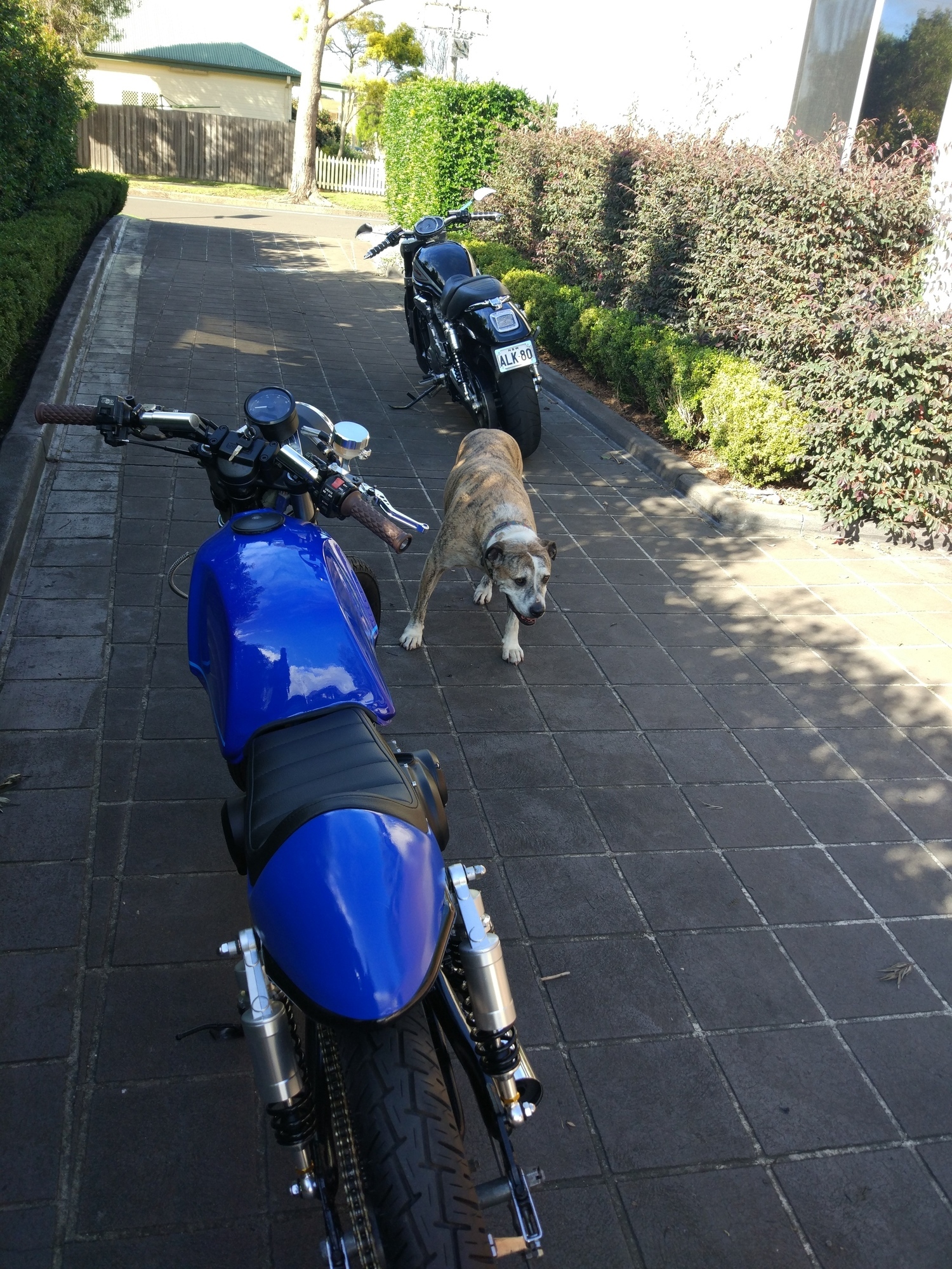 Photo 2800861
