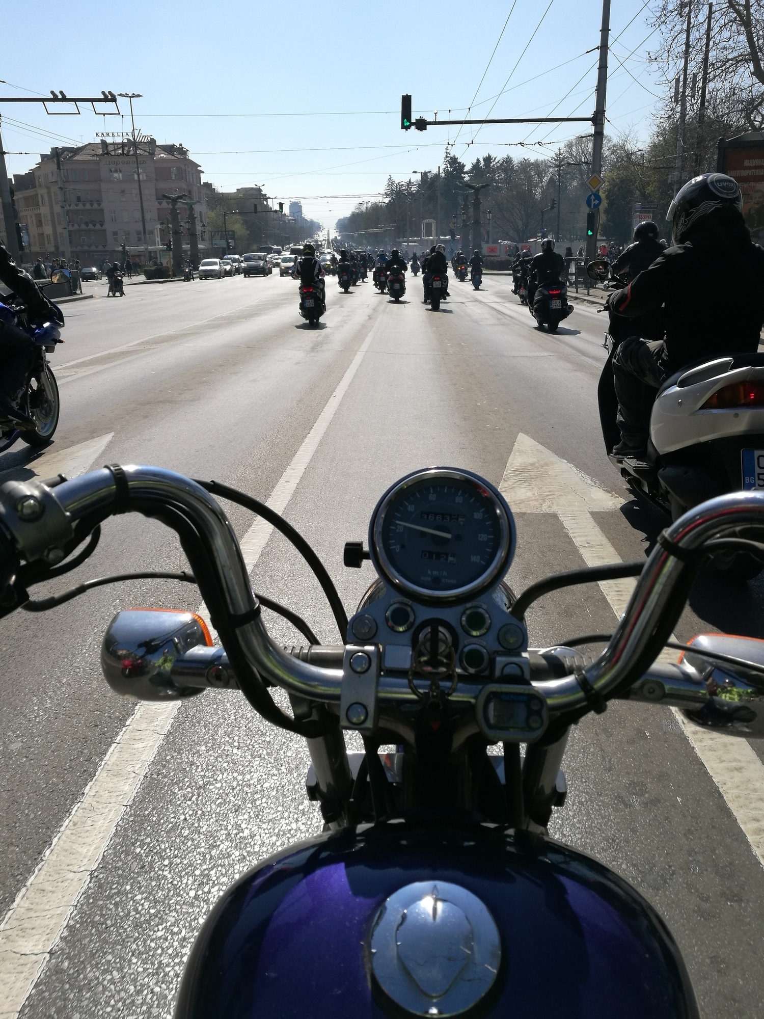 Photo 2802518