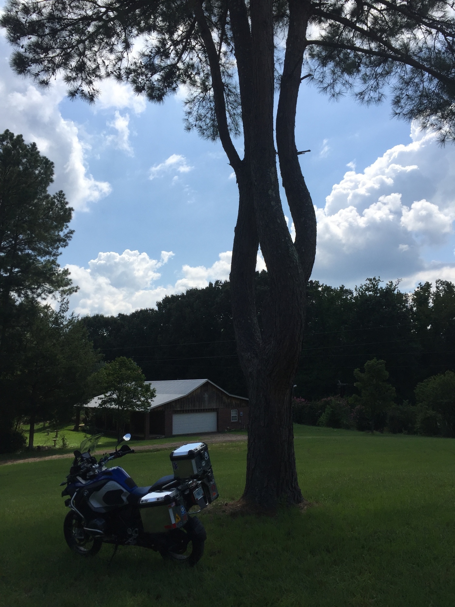 Photo 2803553