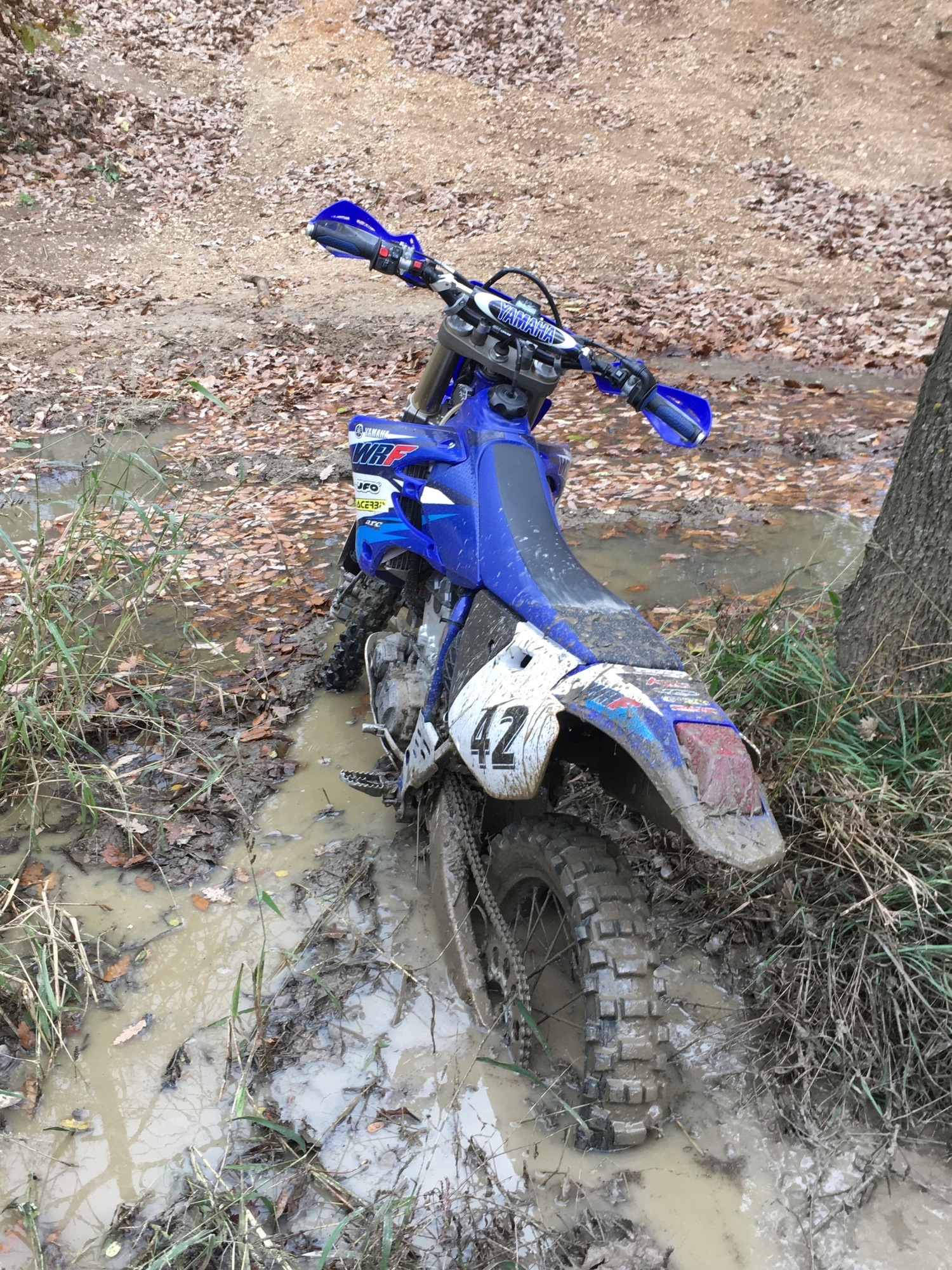 Photo 2804113
