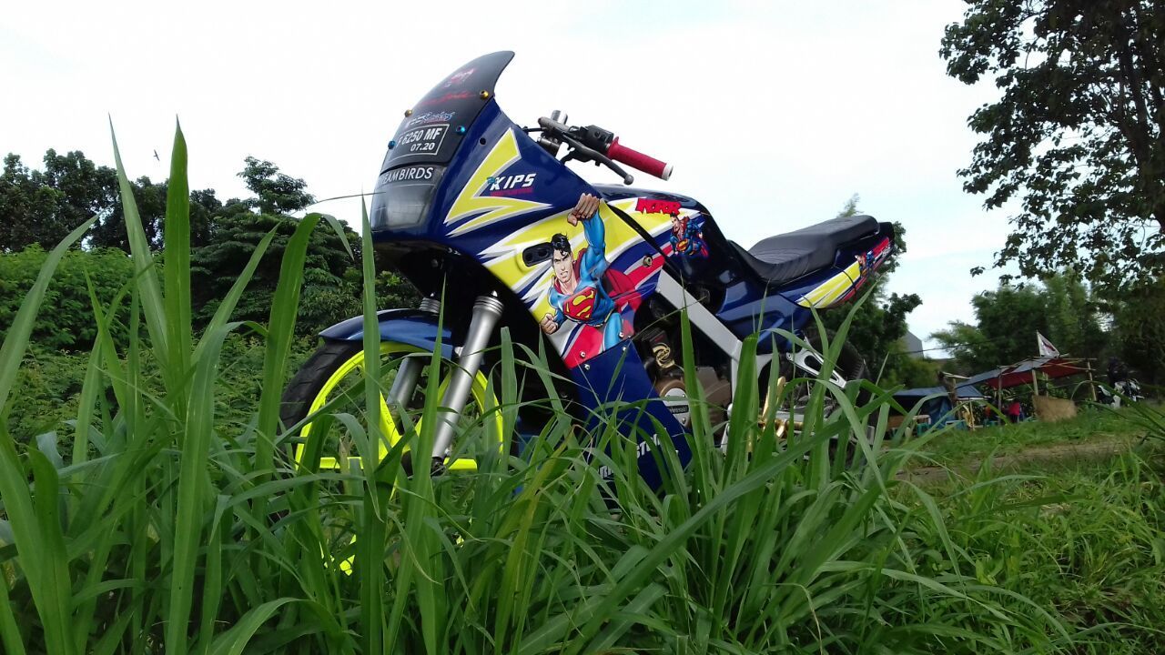 Photo 2804513