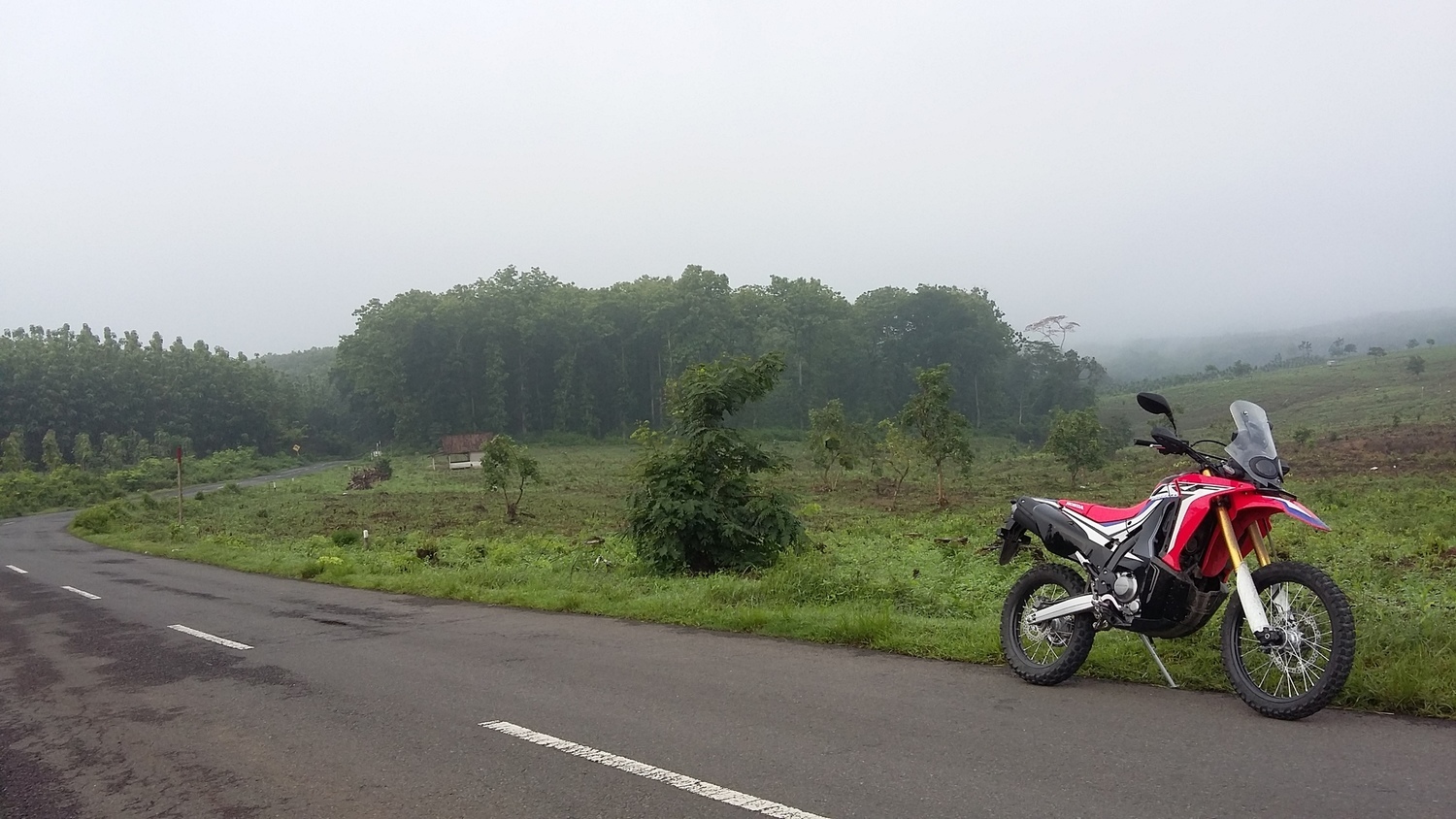 Photo 2805360