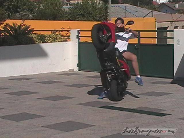 Photo 2805784