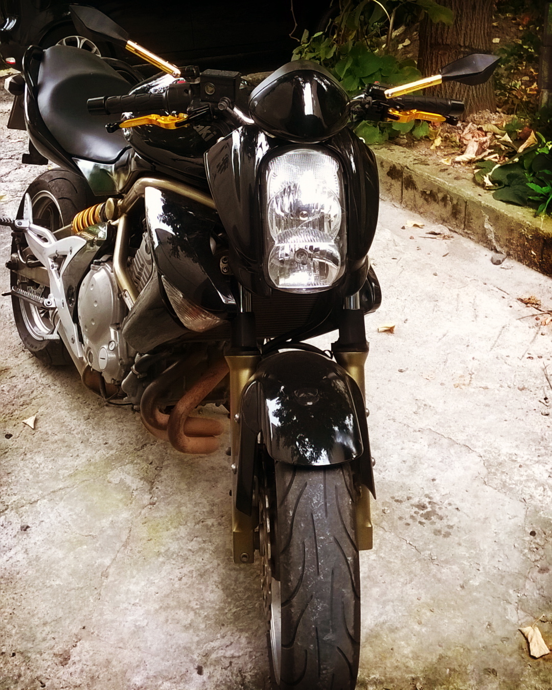 Photo 2805873