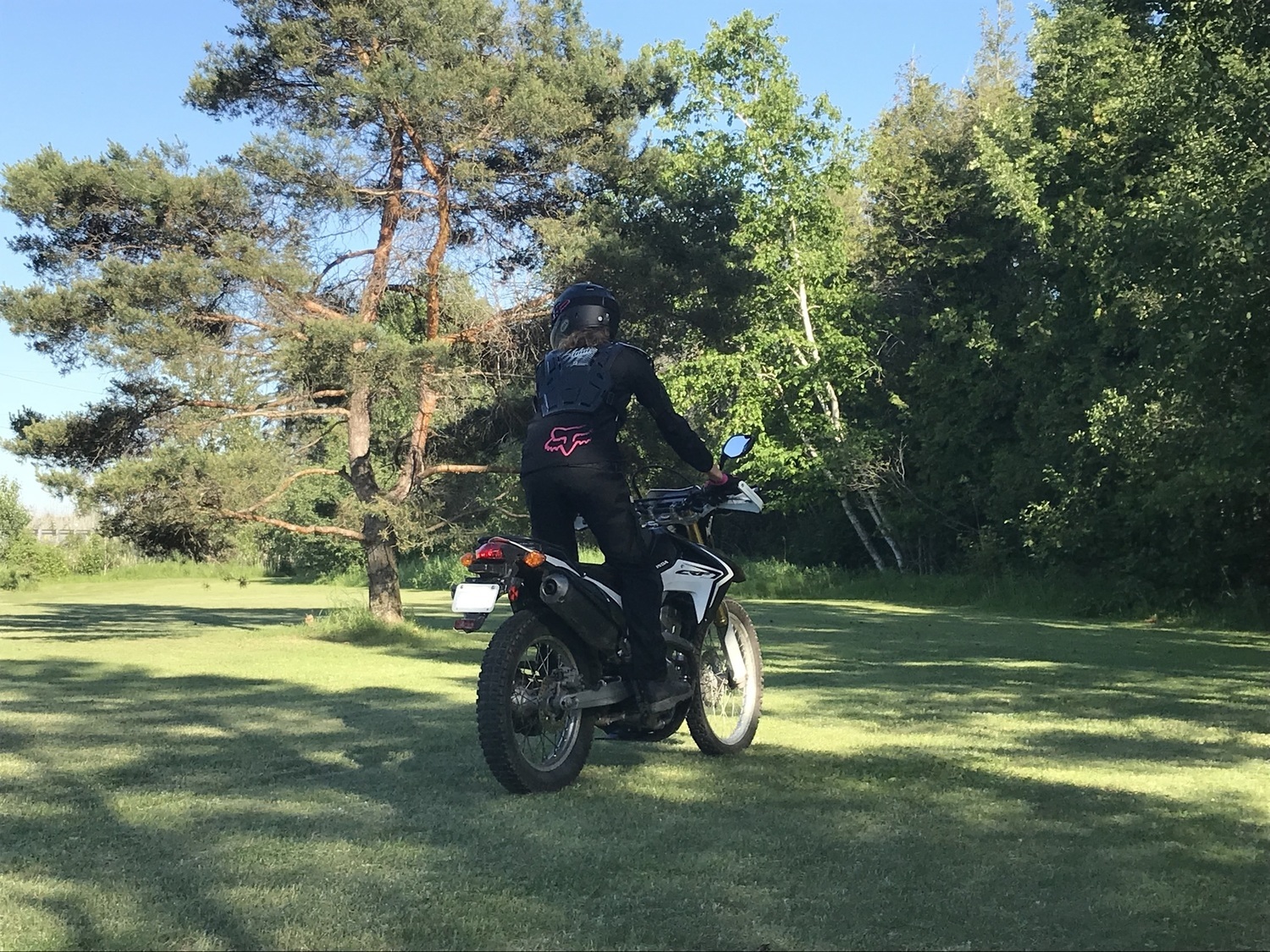 Photo 2808361