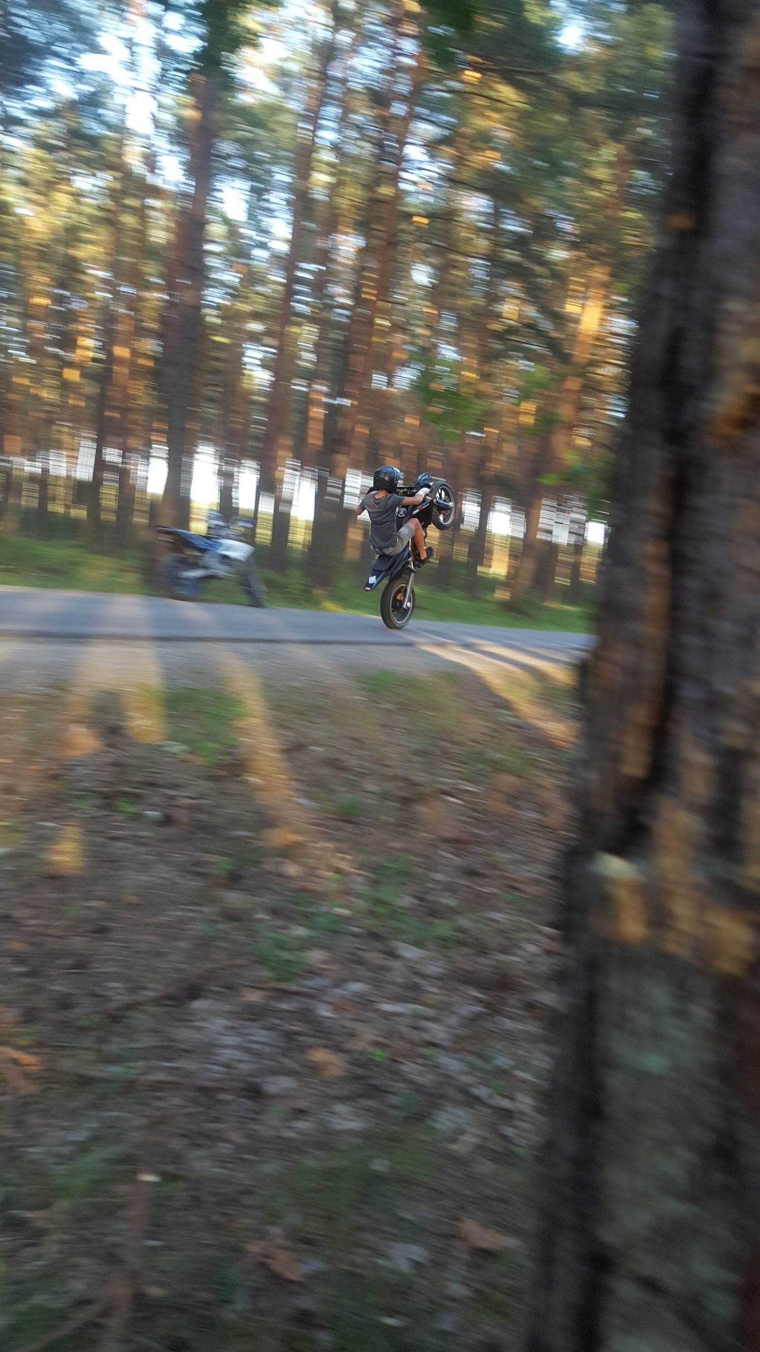 Photo 2809380