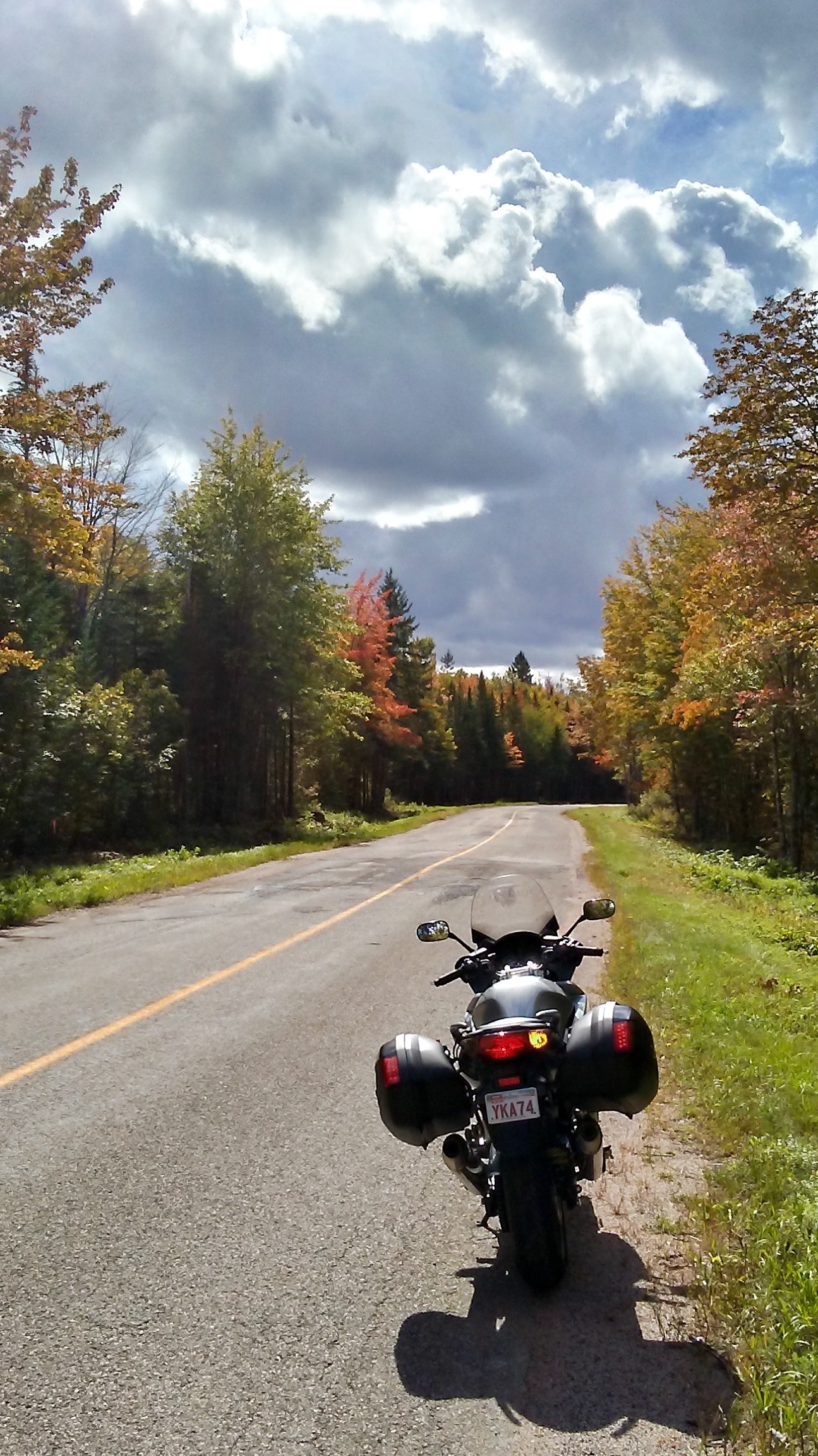Photo 2810376