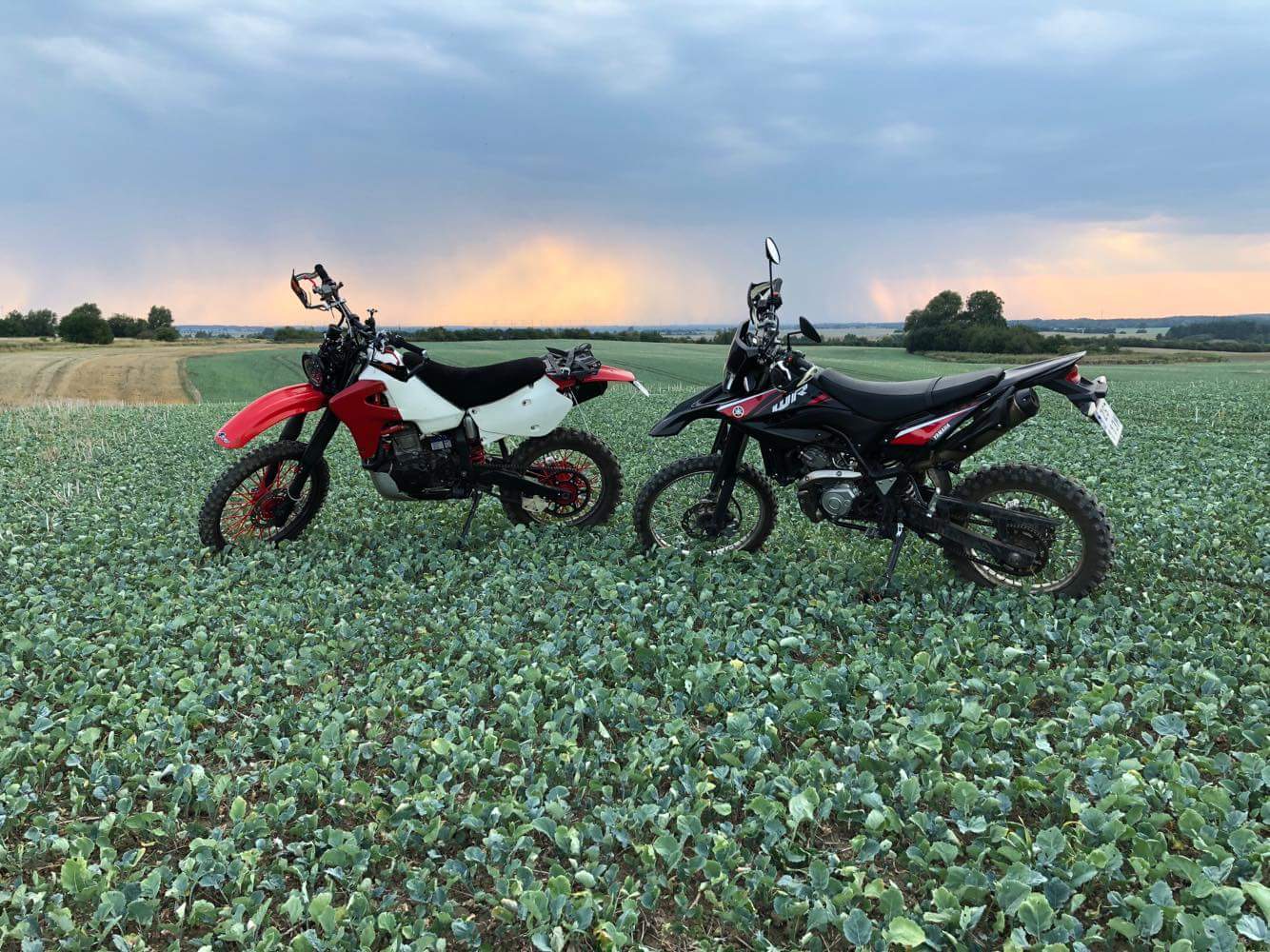 Wr125r