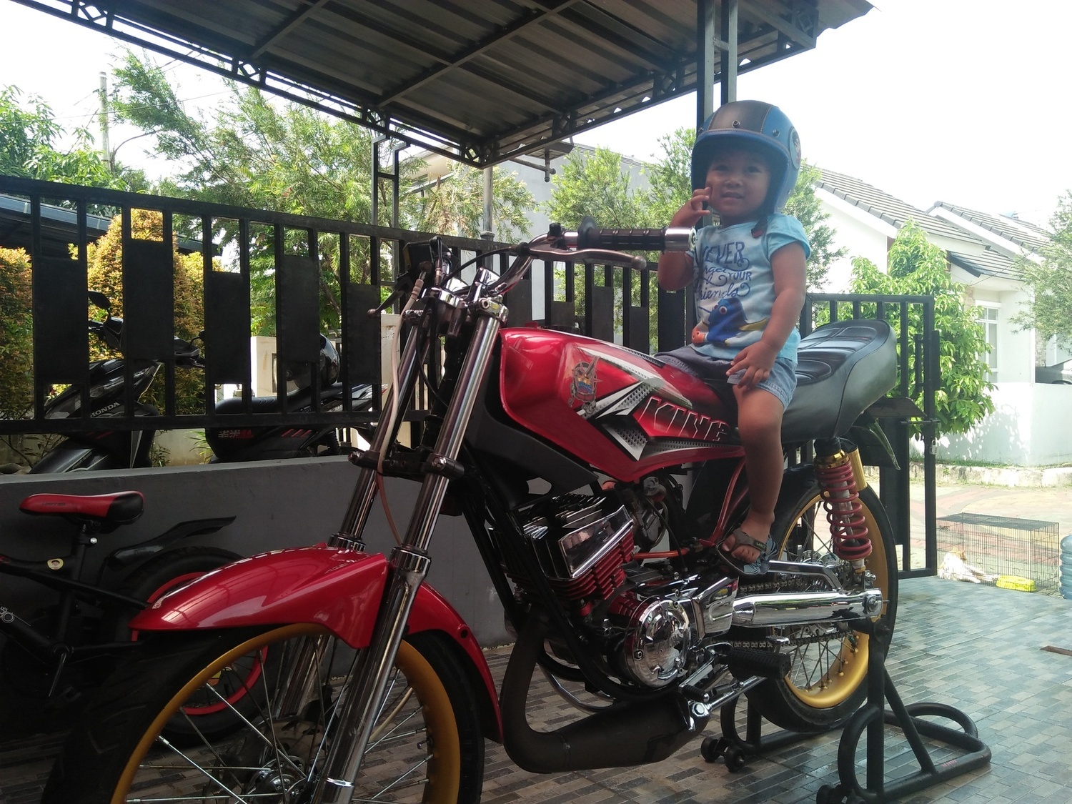 Photo 2811156