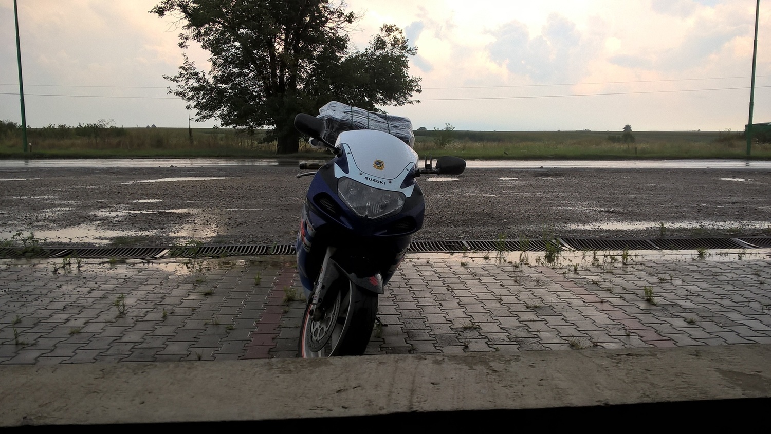 Photo 2811314