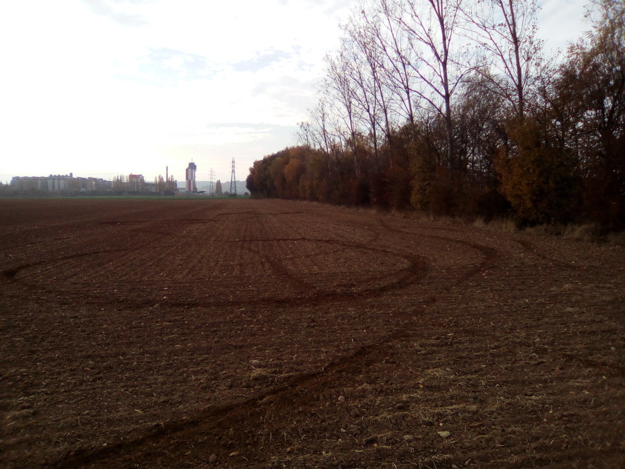 Photo 2811515