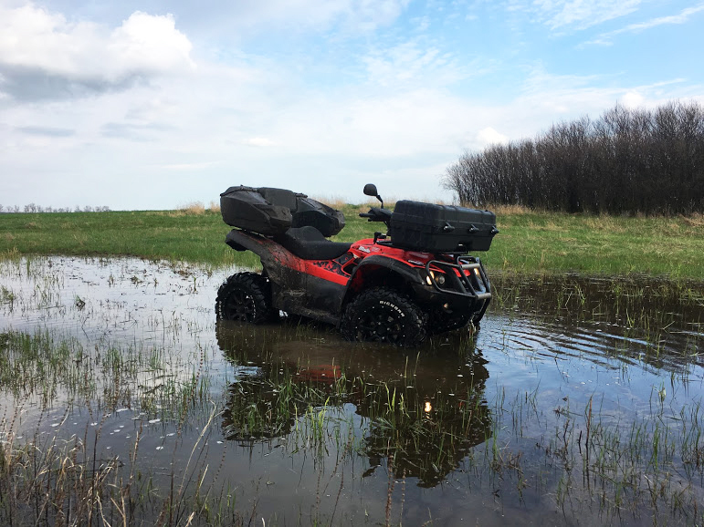Photo 2811775