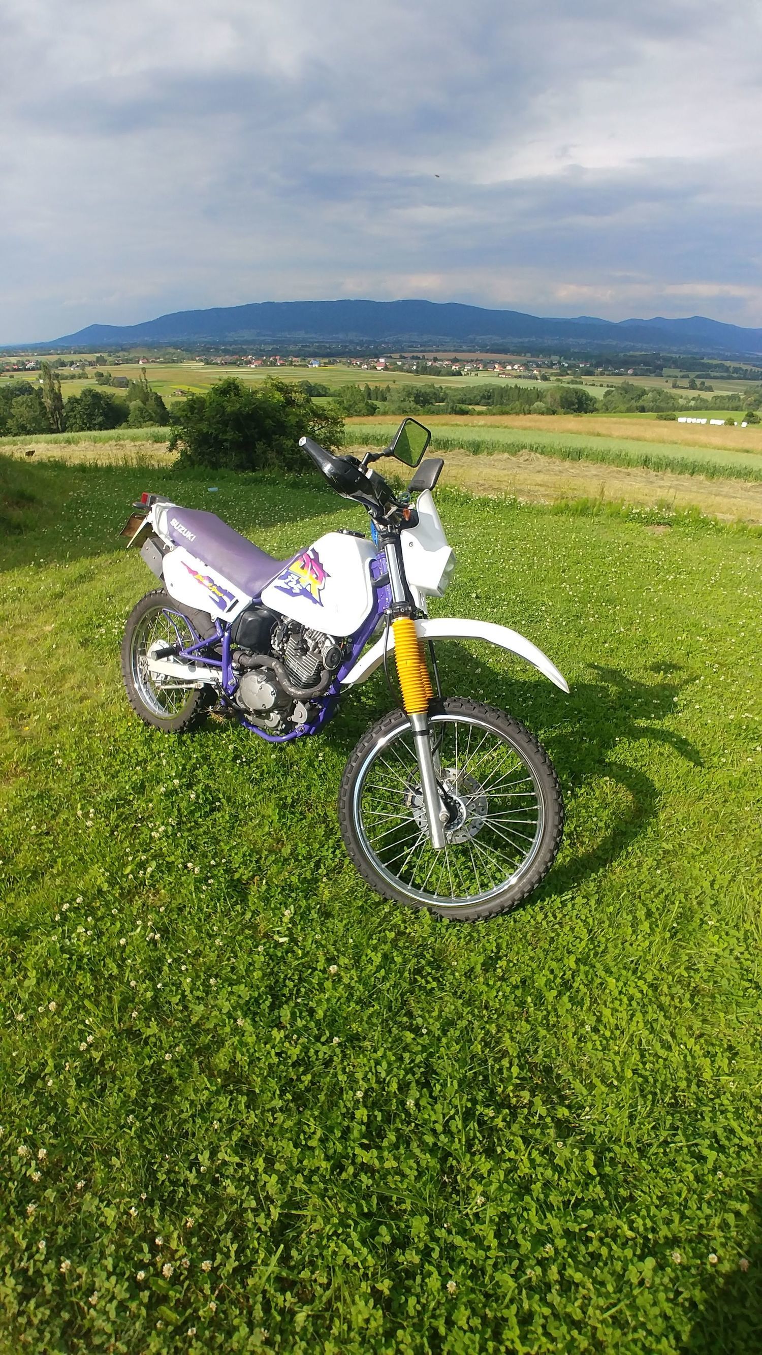 Photo 2812541