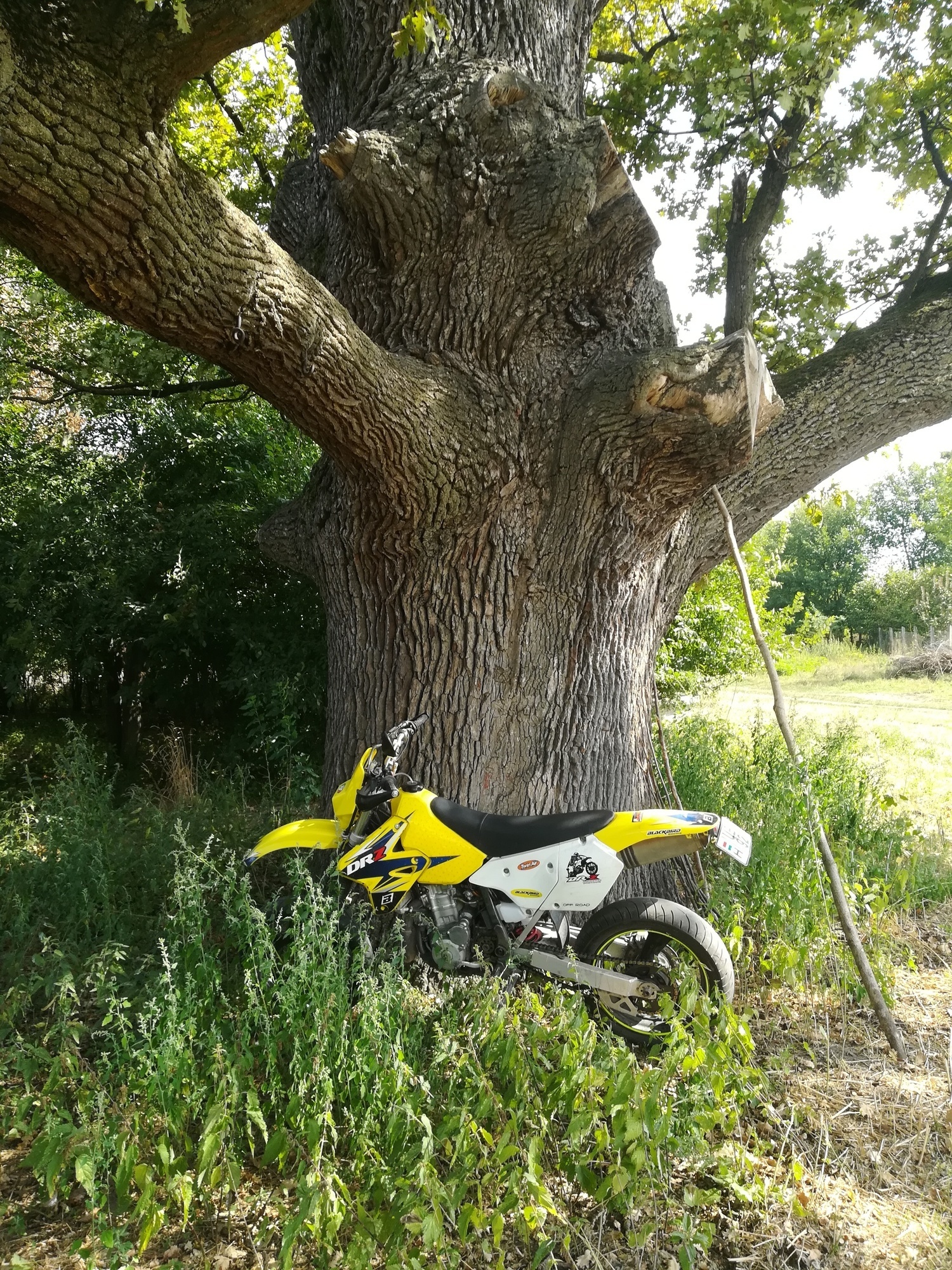 Photo 2813861