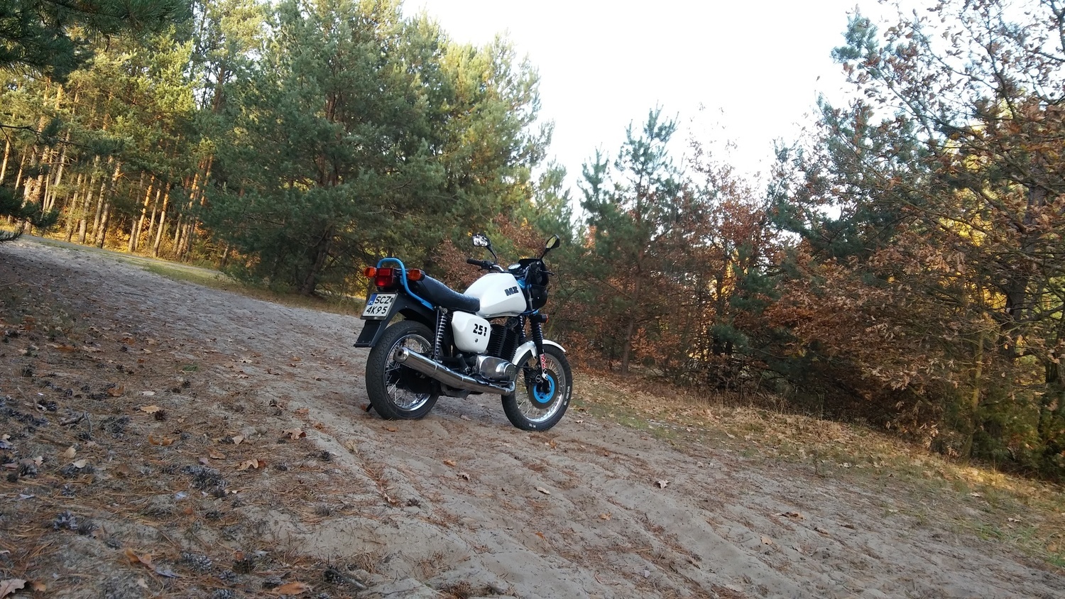Photo 2816549