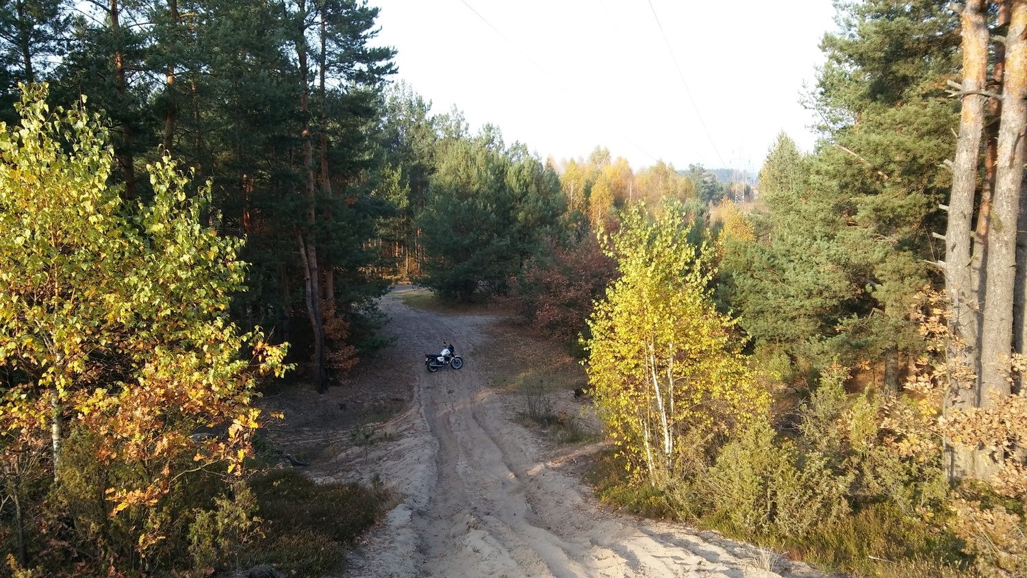 Photo 2816551