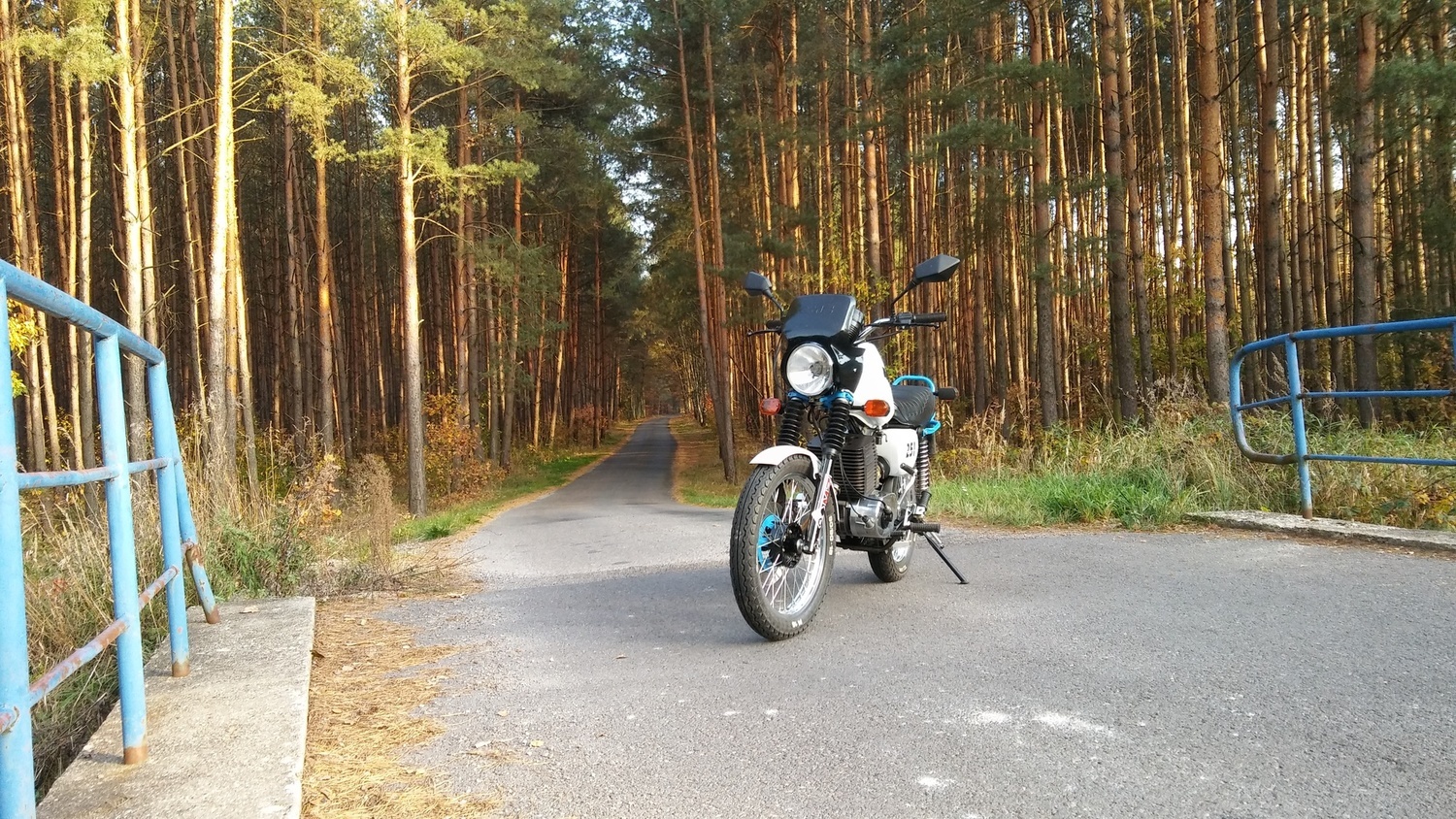 Photo 2816559
