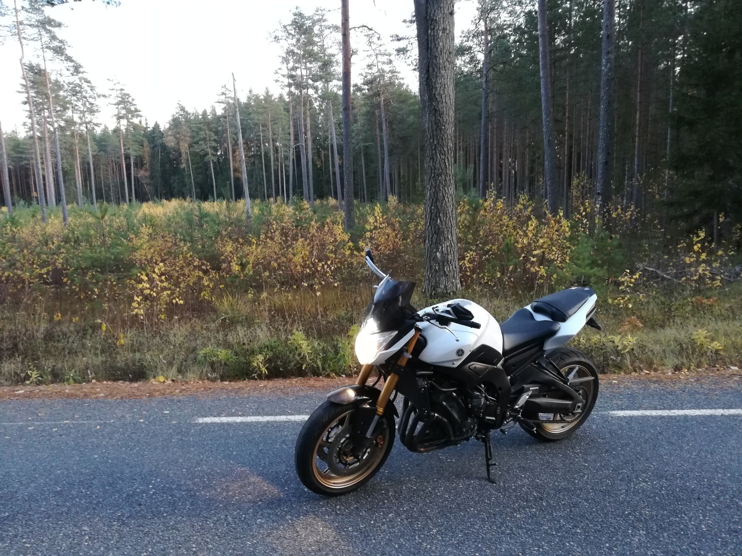 Photo 2816993