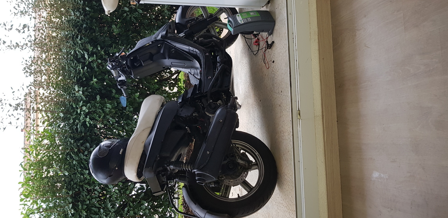 Photo 2817106