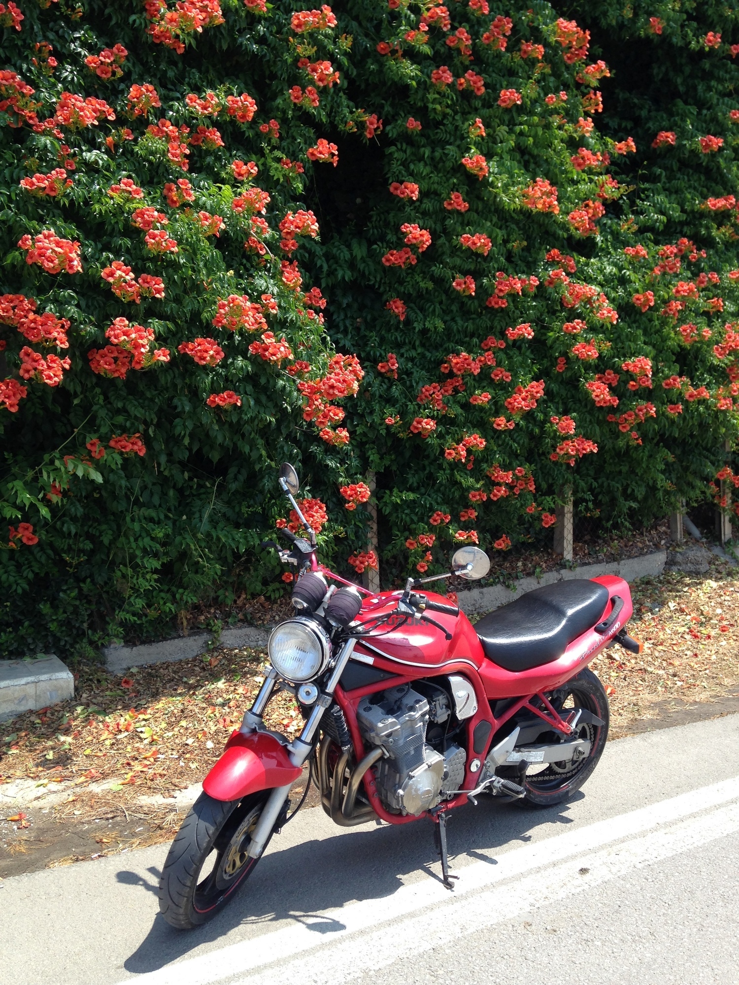 Photo 2817320