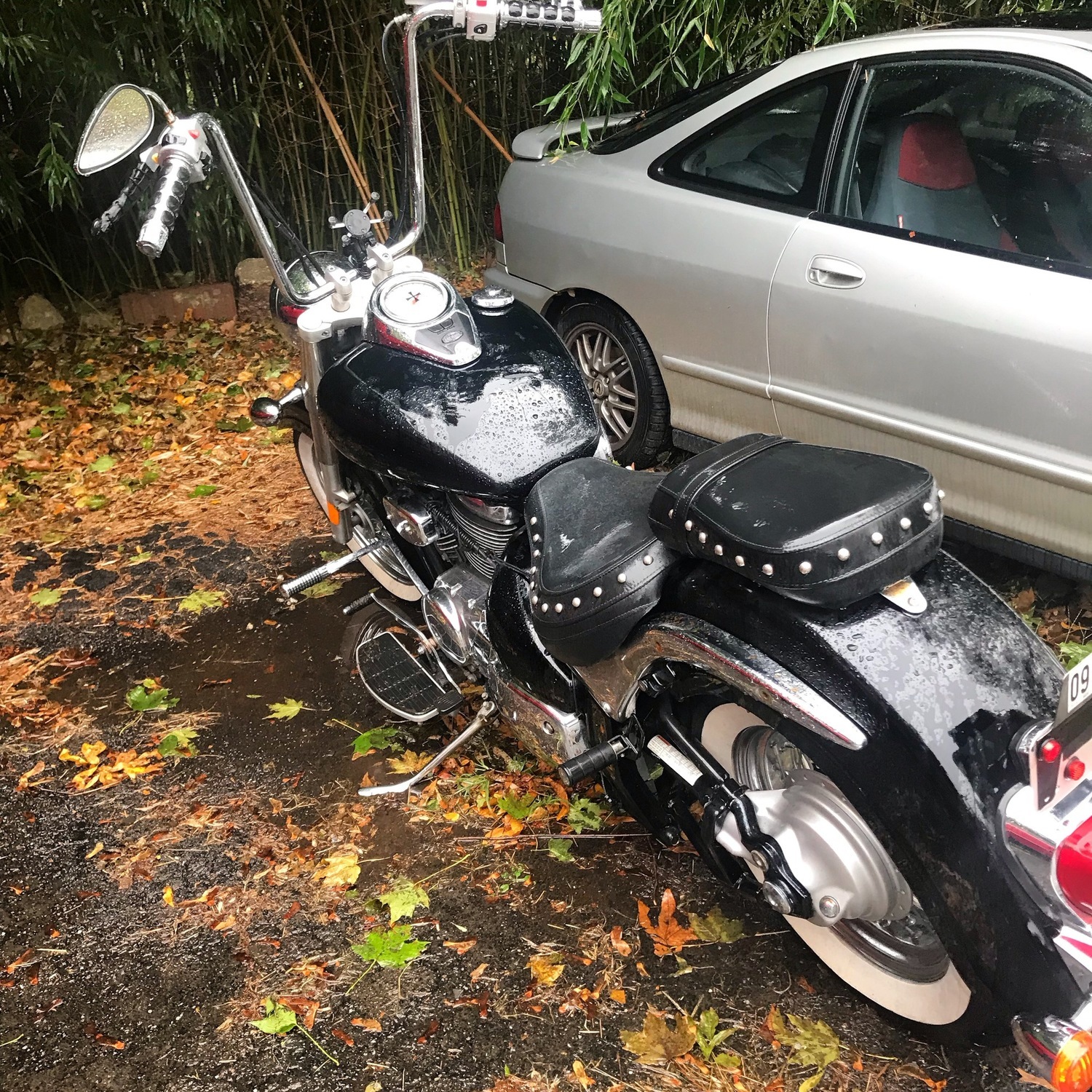 Photo 2818177