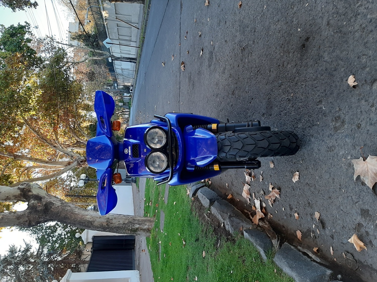 Photo 2818719