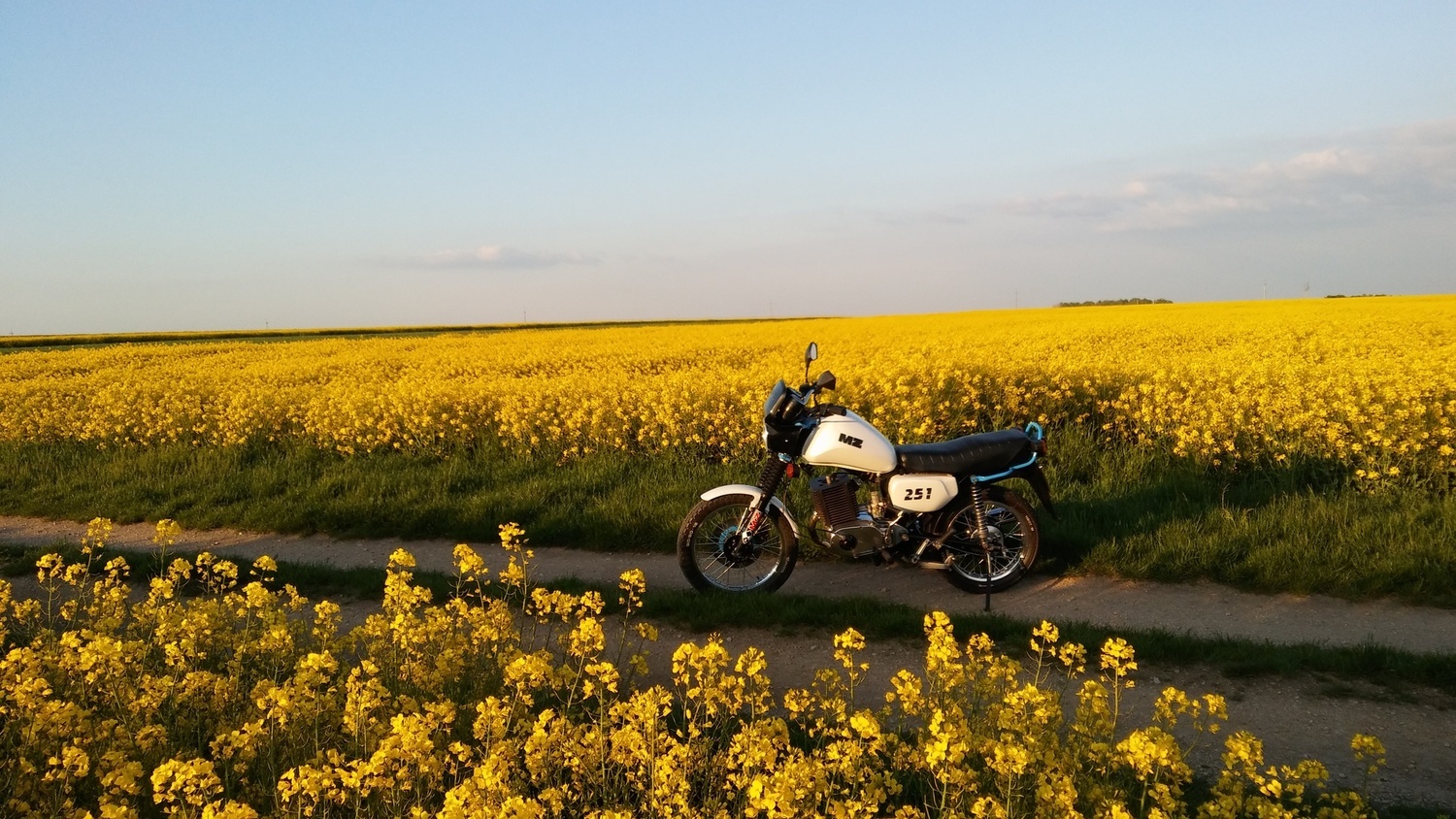 Photo 2818775