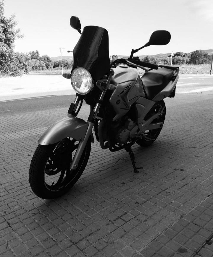 Photo 2819296