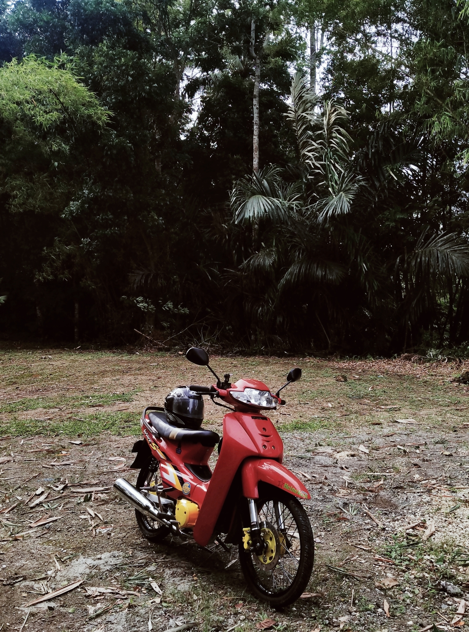 Photo 2820393