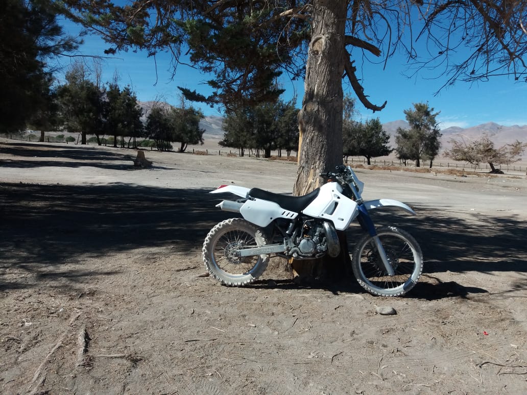 Photo 2822004