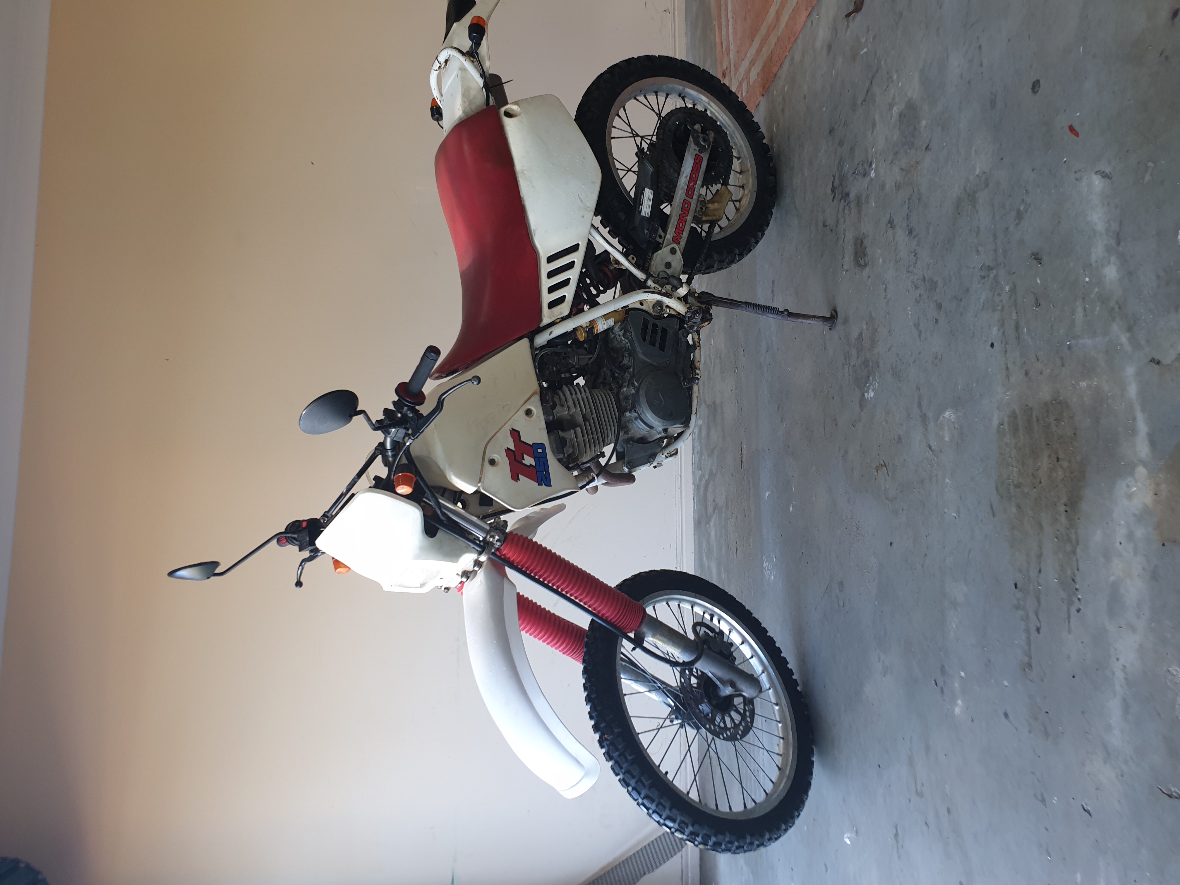 Photo 2822233