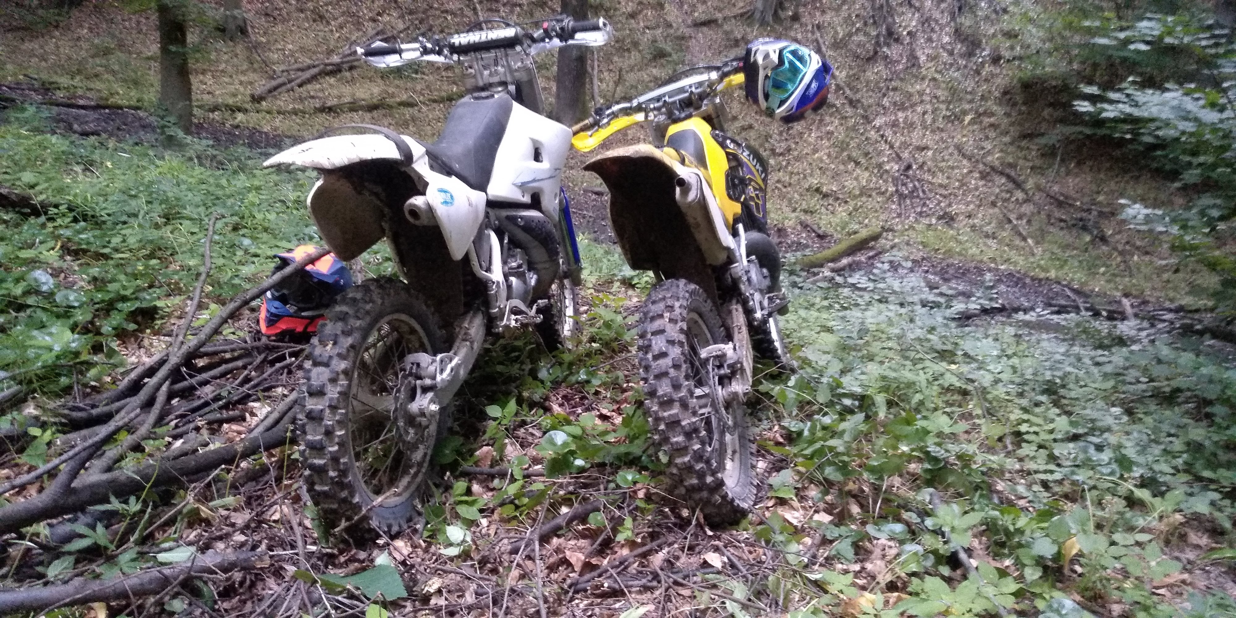 Photo 2822690
