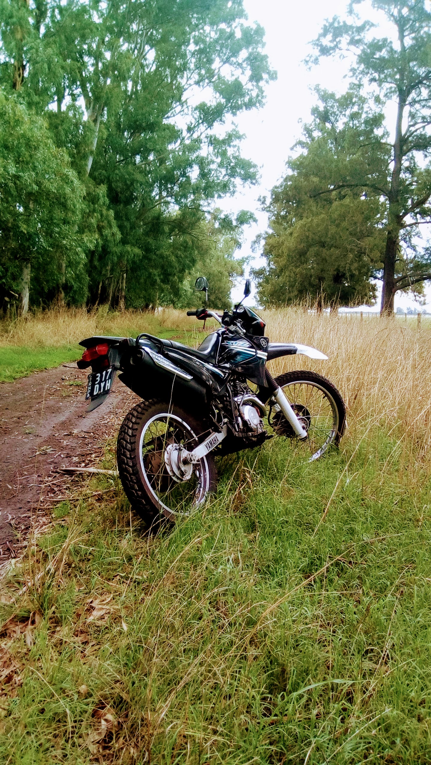 Photo 2823167