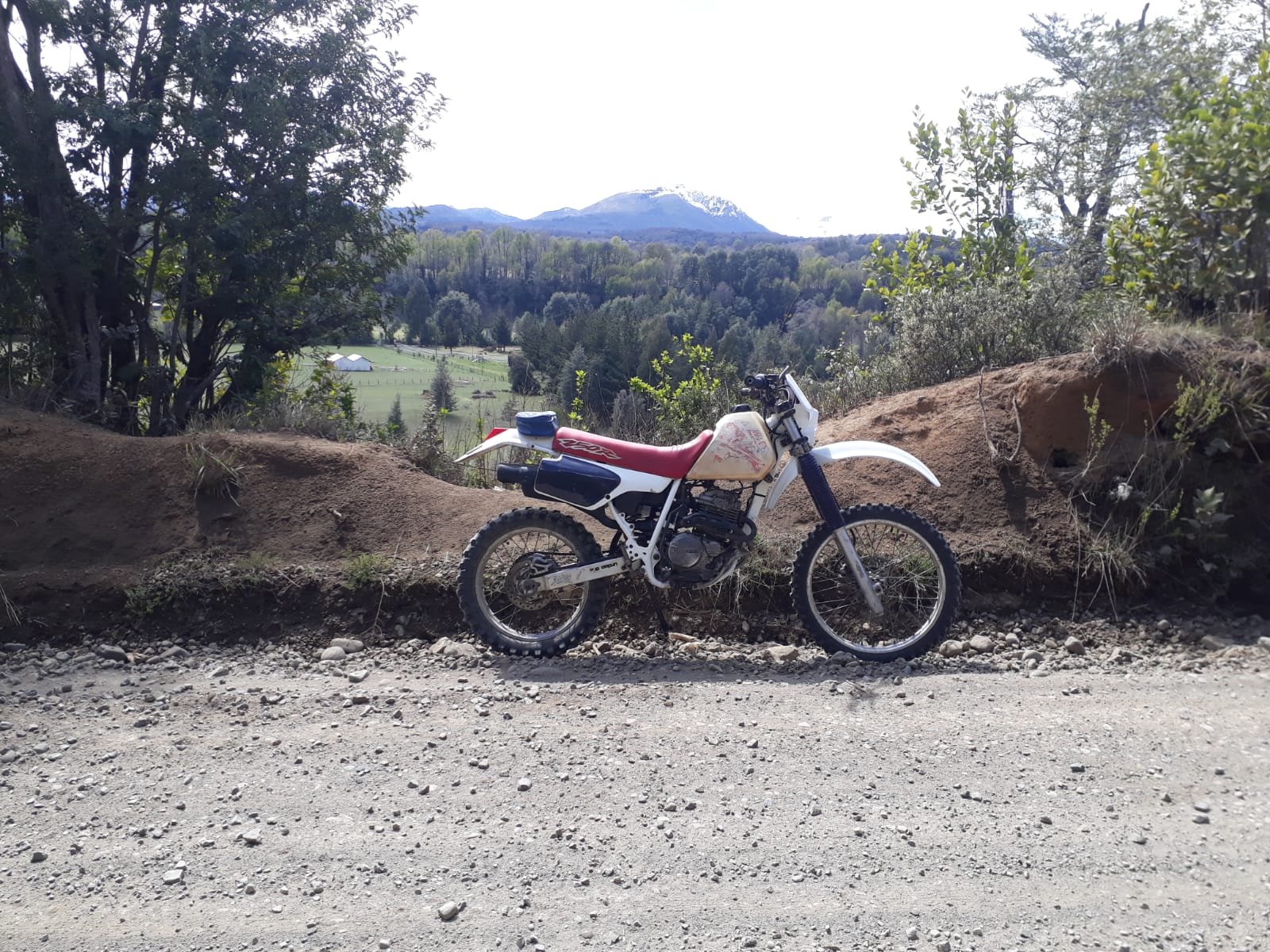 Photo 2823175