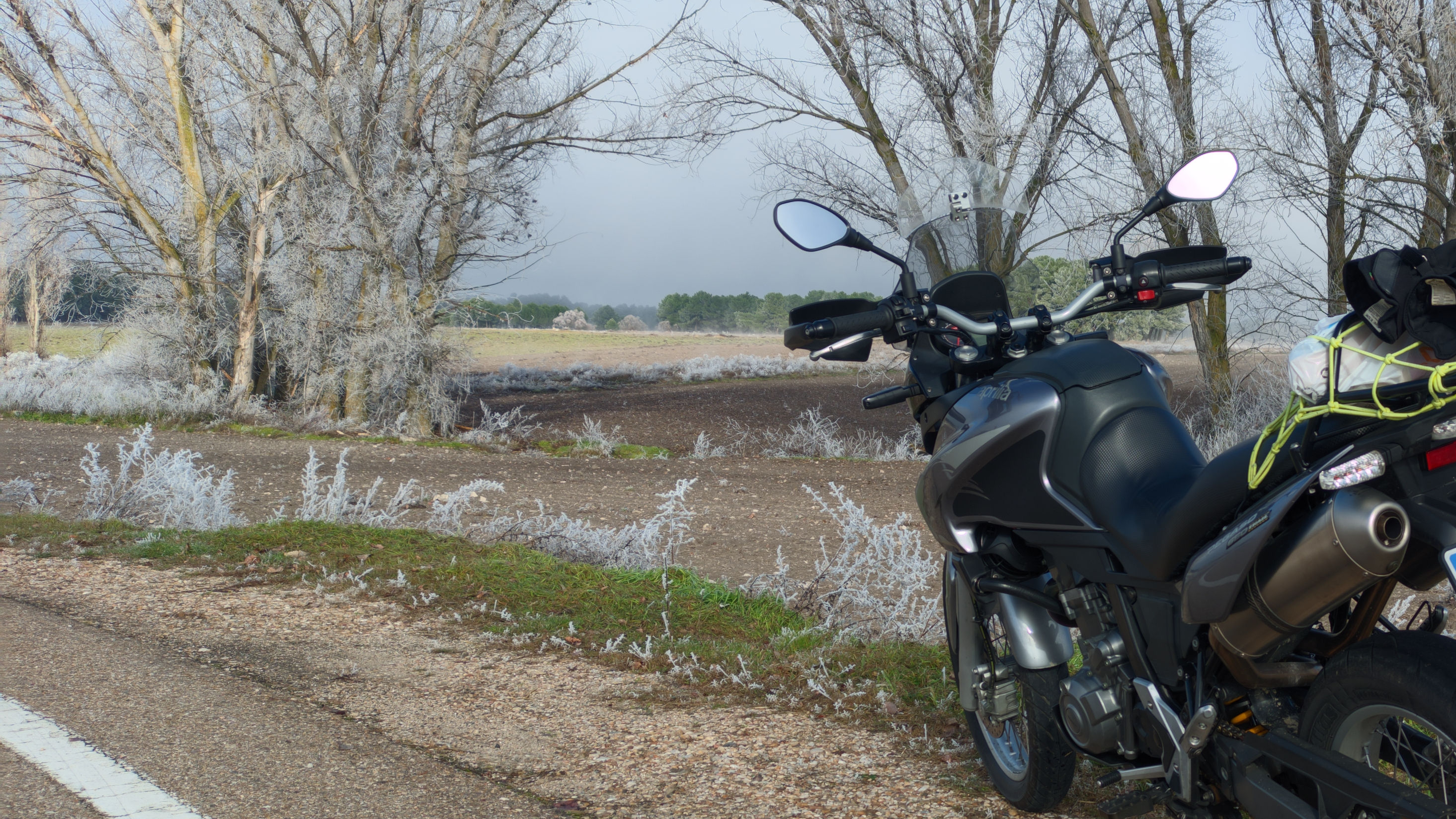 Pegaso Trail 650