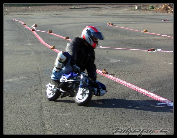 Photo 284192