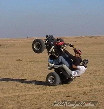 Photo 284779