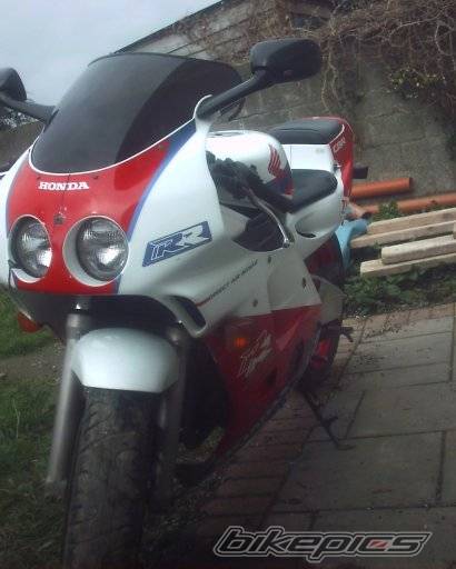 Photo 288741