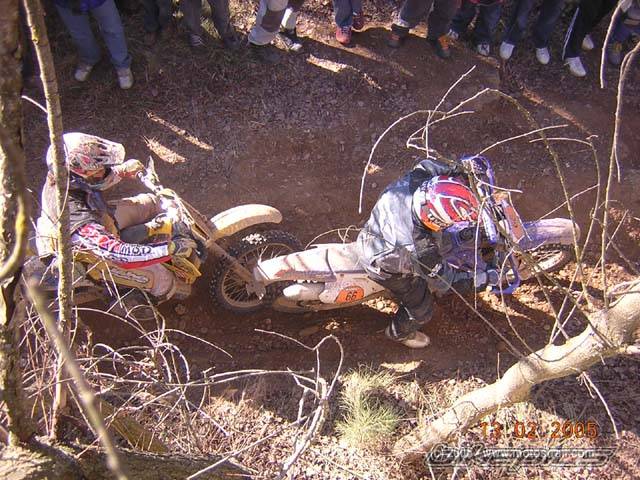 Bike Photo 290846