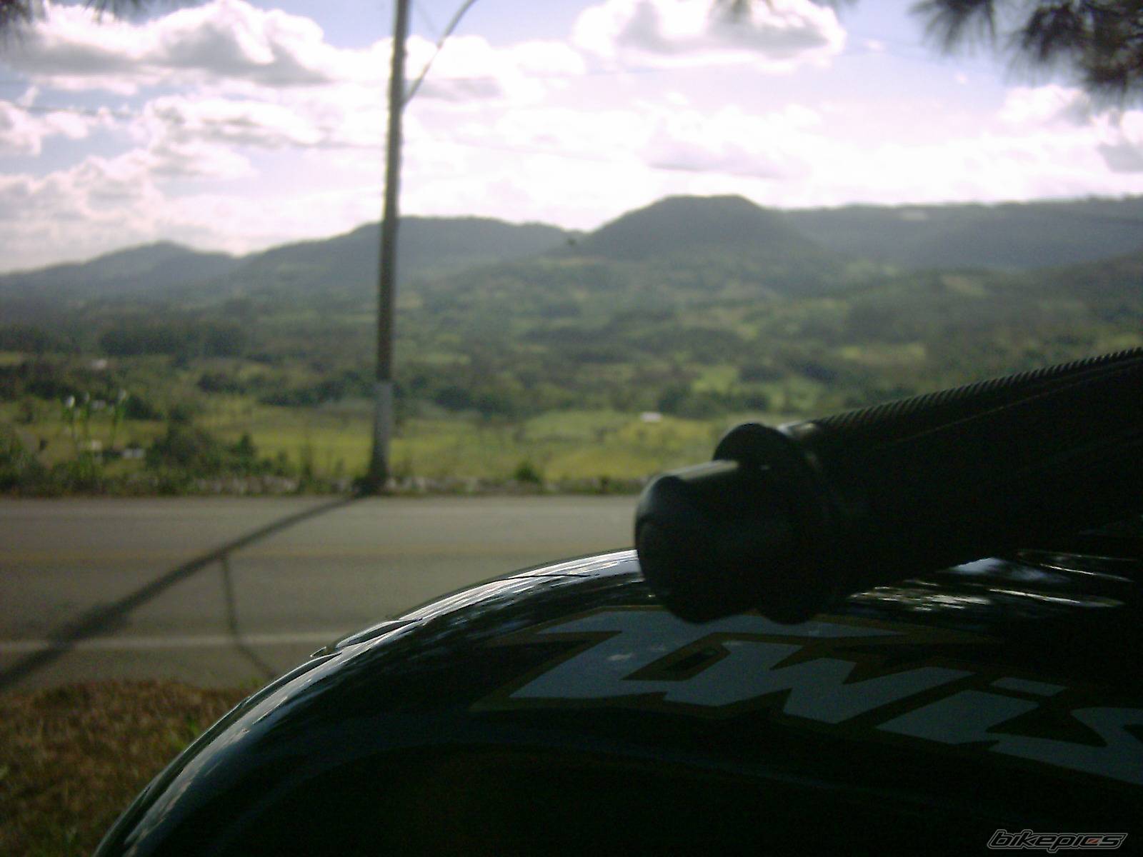 Photo 291880