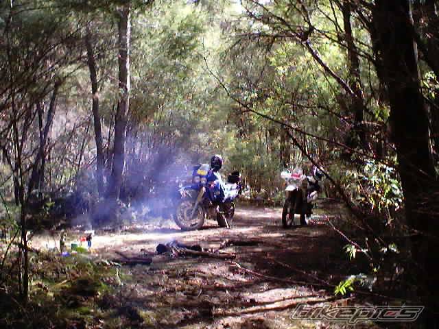 Photo 292696