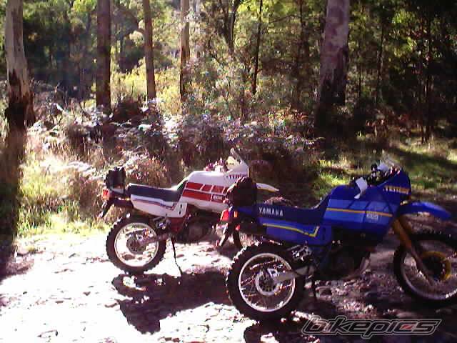 Photo 292699