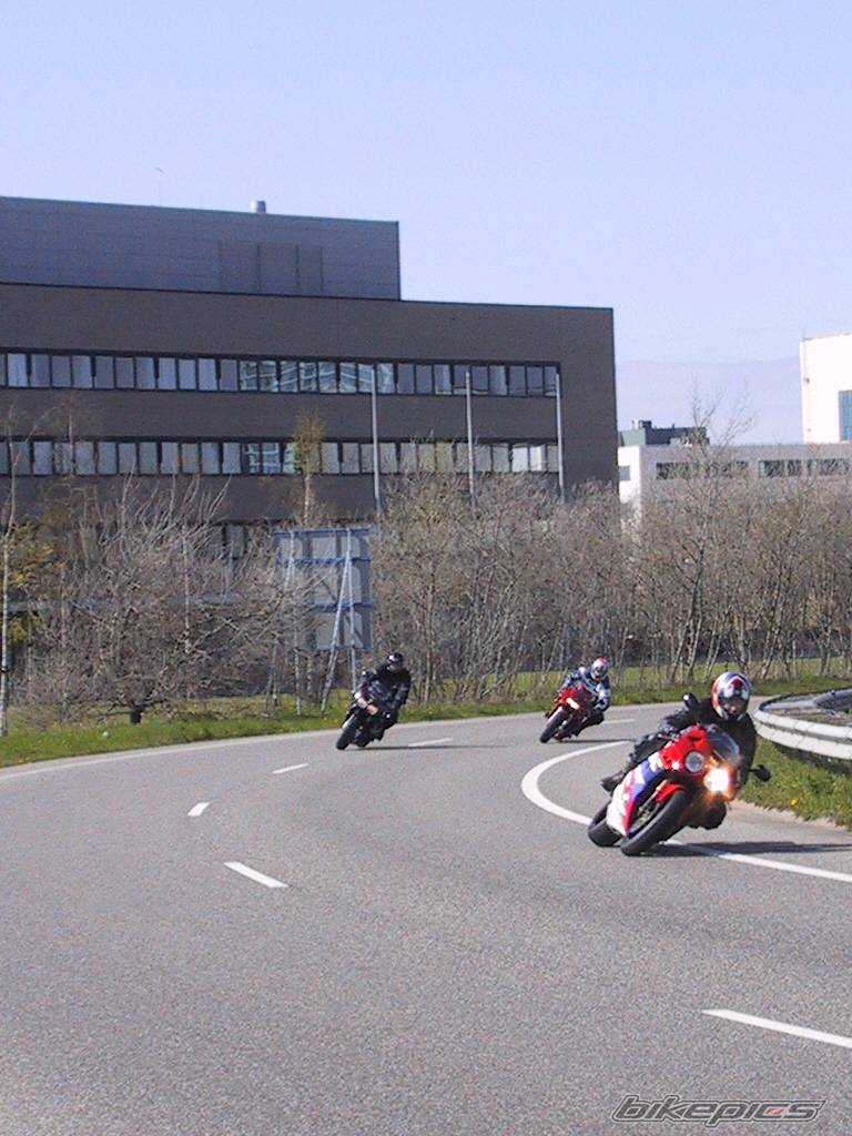 Photo 293690