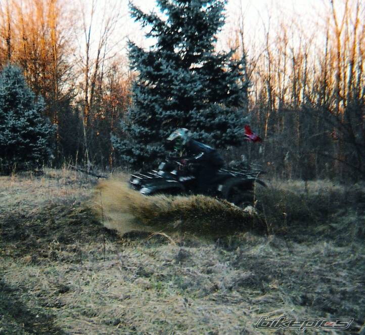 Photo 293929