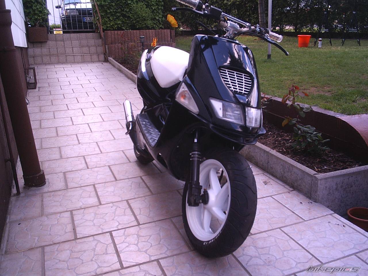 Photo 296158