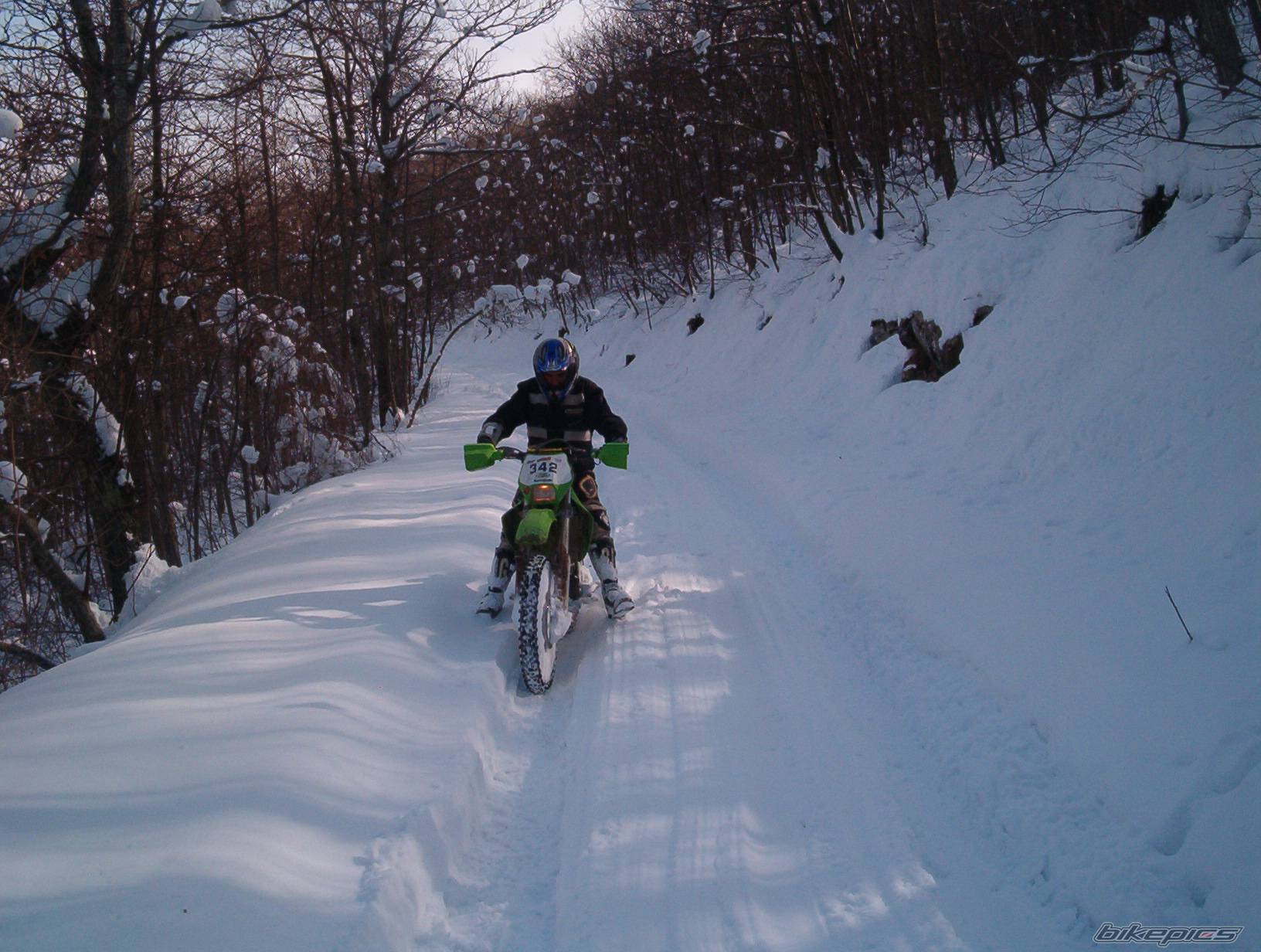 Photo 298848