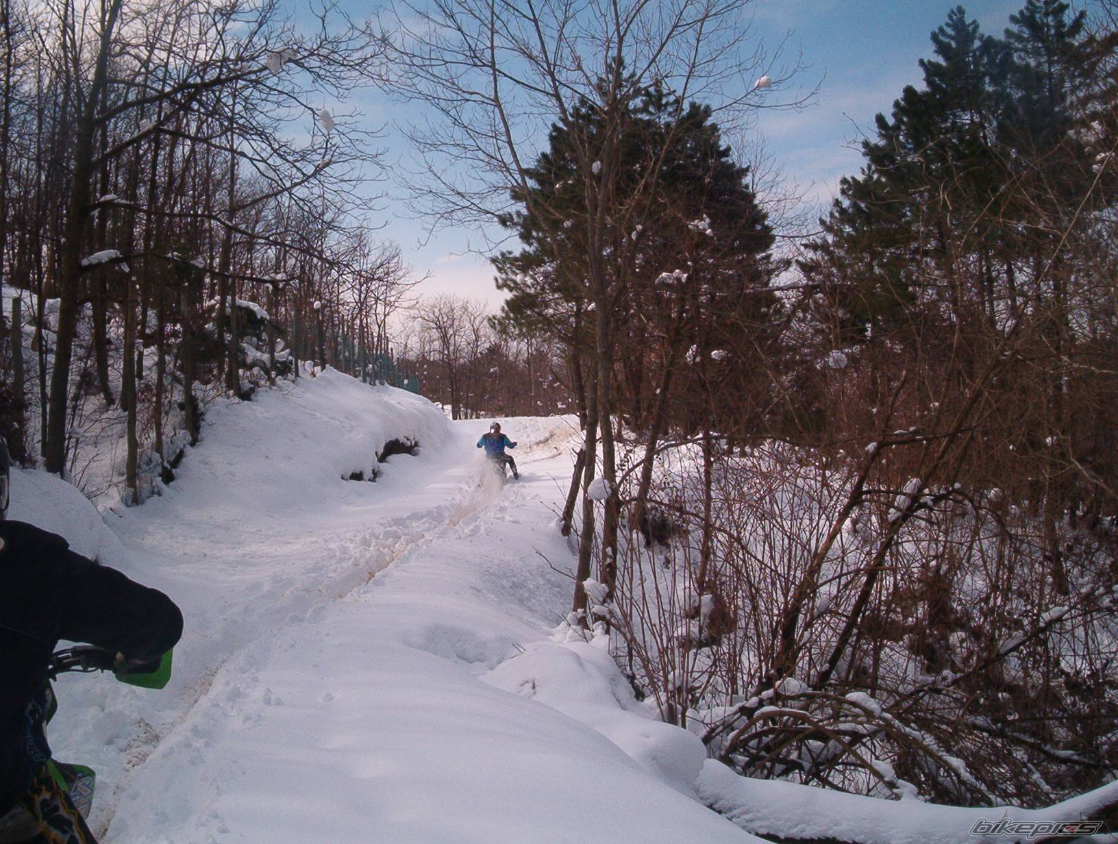 Photo 298866